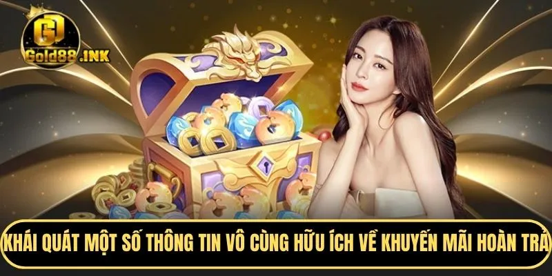 Khái quát một số thông tin vô cùng hữu ích về khuyến mãi hoàn trả